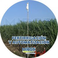 Fertirrigacion y Automatizacion Veracruz